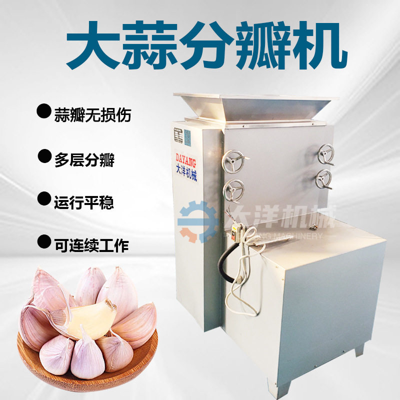 商用电动不锈钢大蒜开瓣机