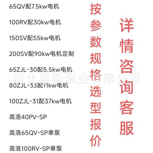 抽沙泵40PV-SP.65QV-SP.100RV-SP液下渣浆泵高铬耐磨泥浆泵排污泵
