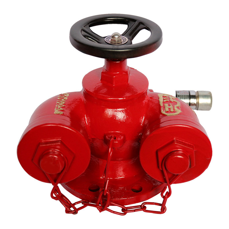 天兴牌SQD100-1.6水泵接合器新型地上地下水泵结合器