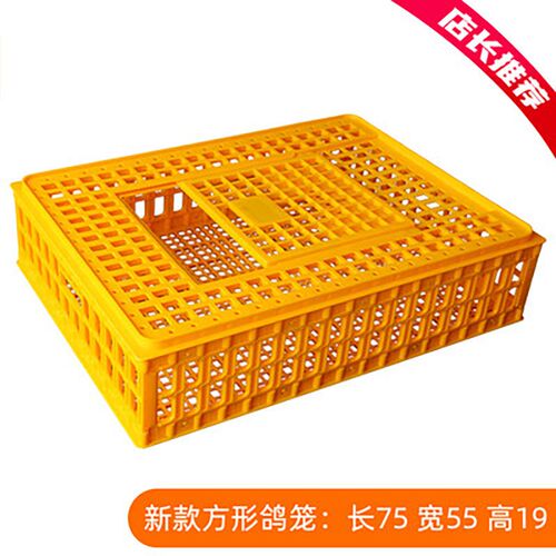 沧州家禽运输笼鸡鸭鹅方形运输D筐加厚塑料运输鸡笼家禽周转箱