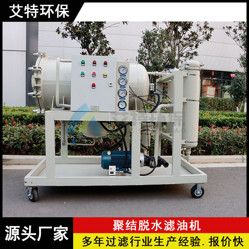 LYC-100J聚结脱水滤油机除水除杂