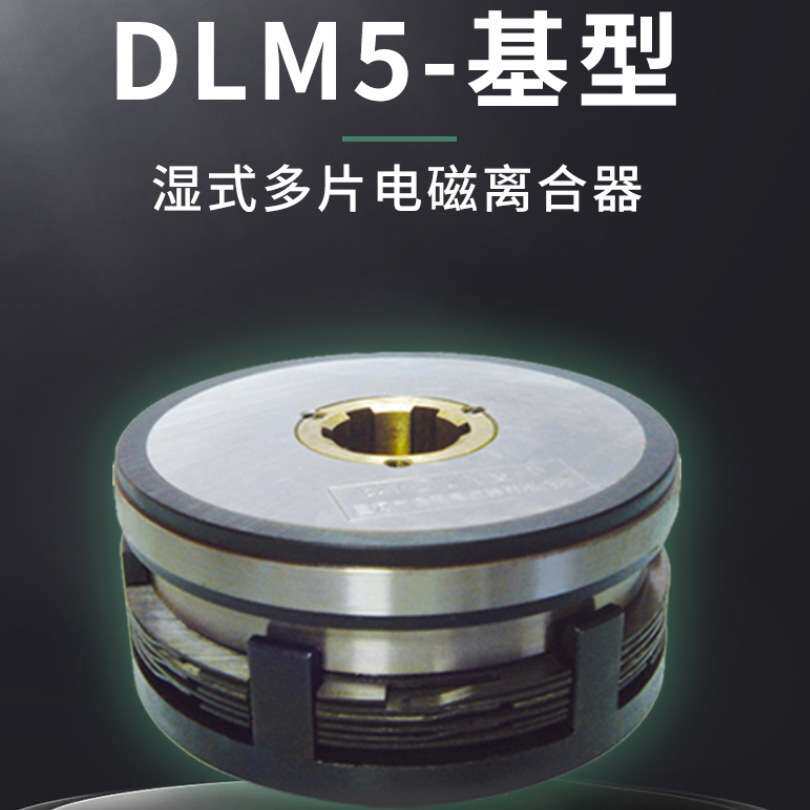 DLM5-1.2型/DLM5-1.2A型湿式多片电磁离合器/多片摩擦离合器DC24V
