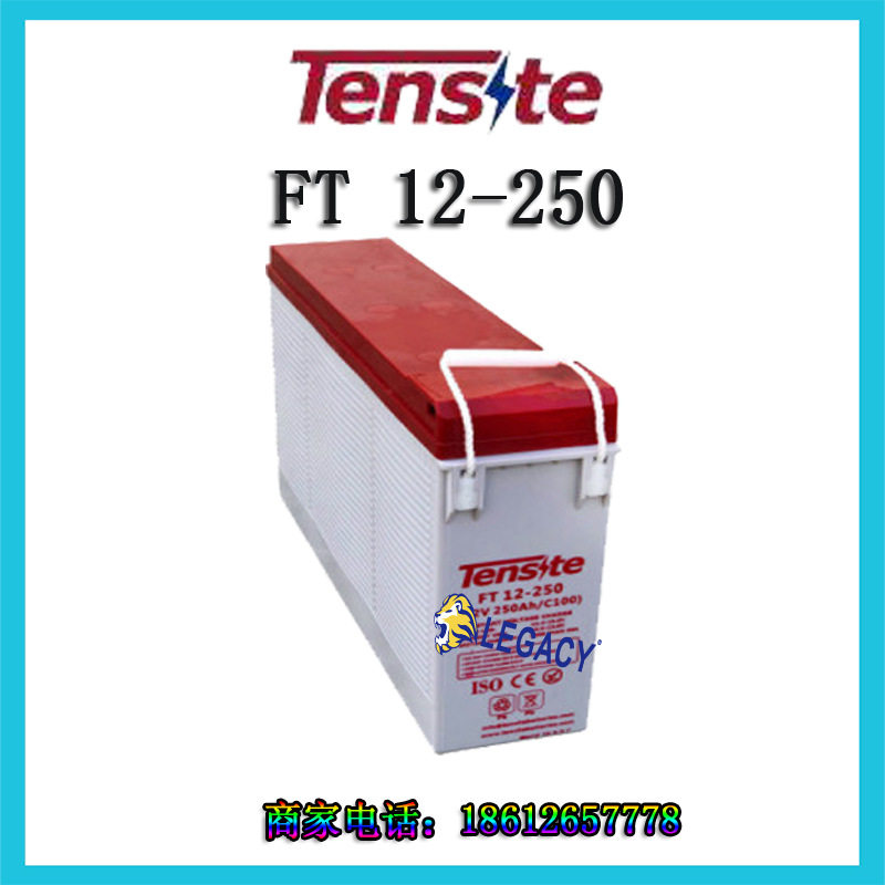 Tensite蓄电池 FT 12-250前端子 狭长型 12V250AH AGM 铅酸蓄电池