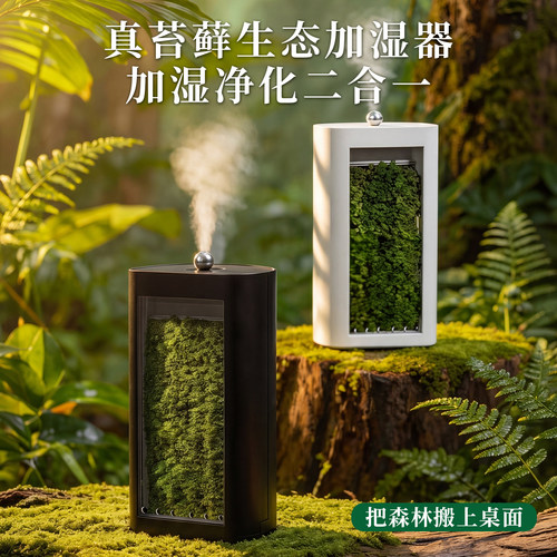 鲜活真苔藓个性创意礼物加湿器
