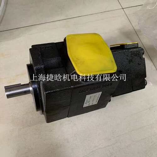 ALBERT叶片泵 T6C-014-1R00-B1 艾伯特油泵 ABT2-125-2L02-B50Z