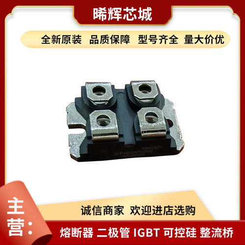 DH2X61-18A DSEP2X101-04A功率二极管电子元器件 库存充量大从优