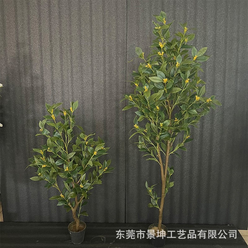 仿真桂花树室内造景塑料盆栽装饰办公室落地摆件庭院景观拍摄道具