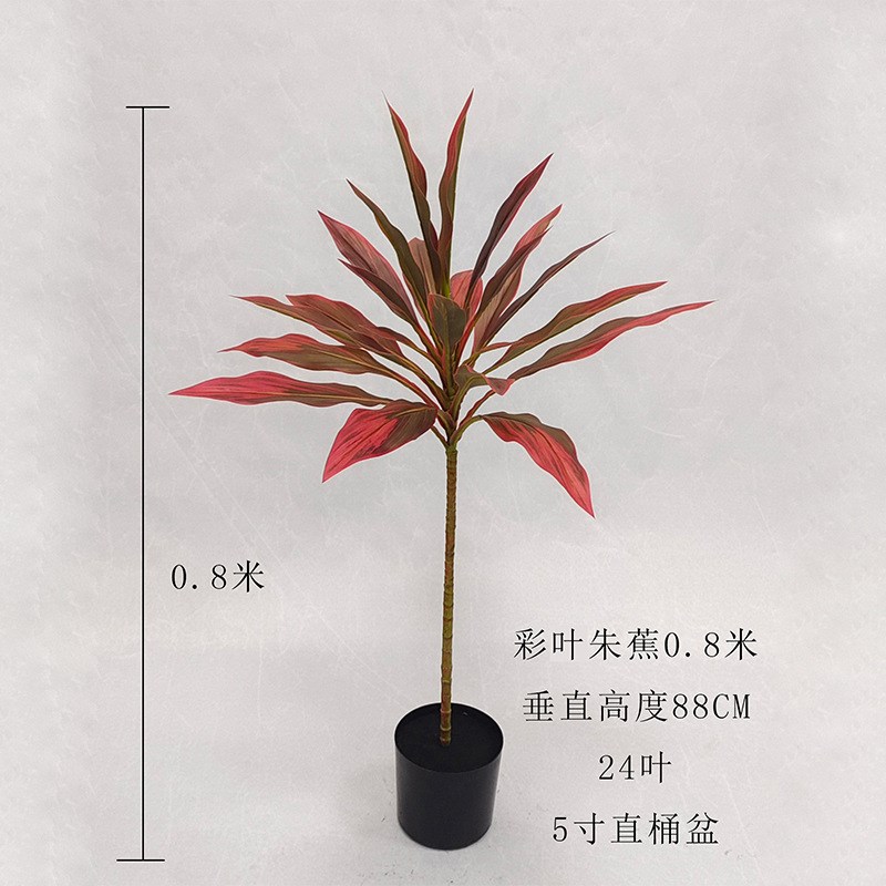 仿真朱蕉盆栽北欧人造永生朱蕉绿植客厅落地摆件摄影道具红绿铁树