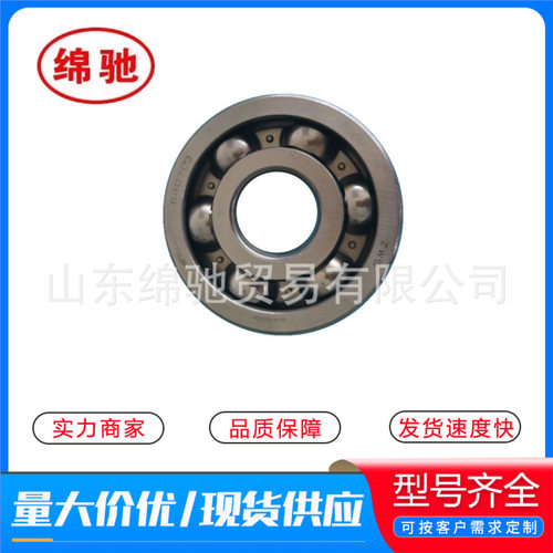 豪沃AZ9003后输出齿轮深沟球轴承