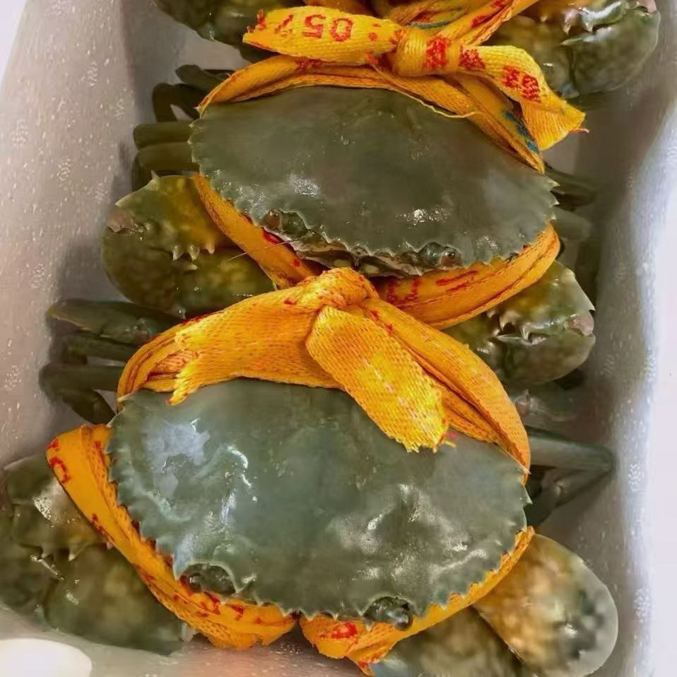 【两斤起】台州三门青蟹鲜活海蟹9两大螃蟹 送礼盒装 顺丰次日达
