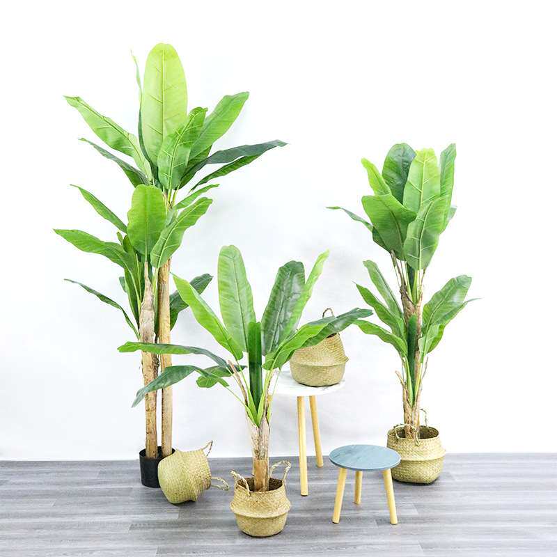 亚马逊大型仿真植物芭蕉树盆栽橱窗落地装饰热带绿植香蕉树盆景