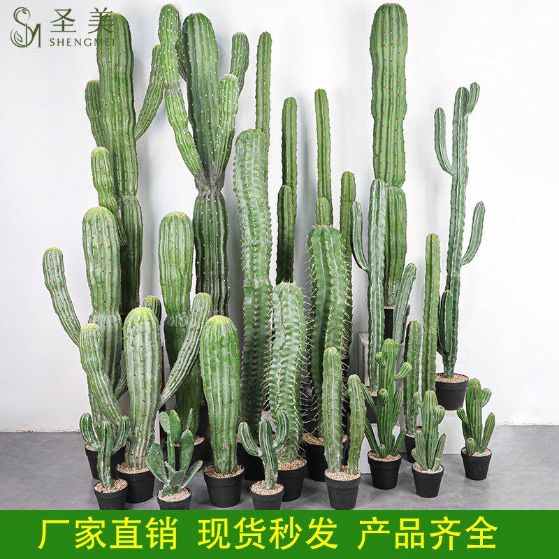 仿真仙人柱大型沙漠植物北欧仙人掌仙人球假绿植室内场景橱窗装饰