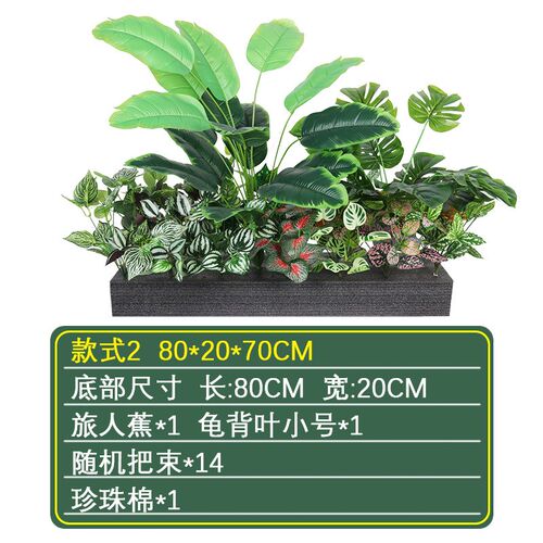 小型仿真植物景观蕨类把束植物手感假花室内景观角落橱窗造景装饰