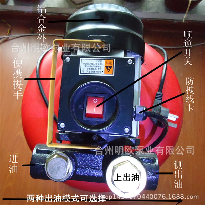 柴油抽油泵自吸抽油机电动抽油泵加油泵双出油口550w220v价