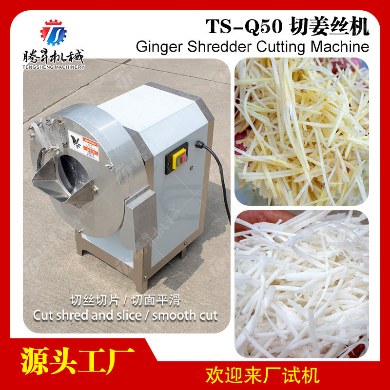 小型瓜果切割机自动生姜切丝机嫩姜芽打碎机不锈钢姜丝条机