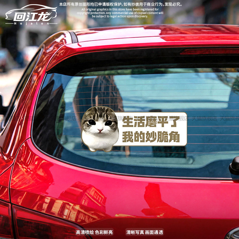 可爱猫咪搞笑文字车窗玻璃贴