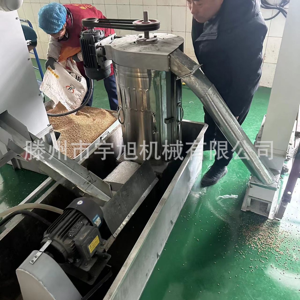 不锈钢小麦清洗机一小时1000斤