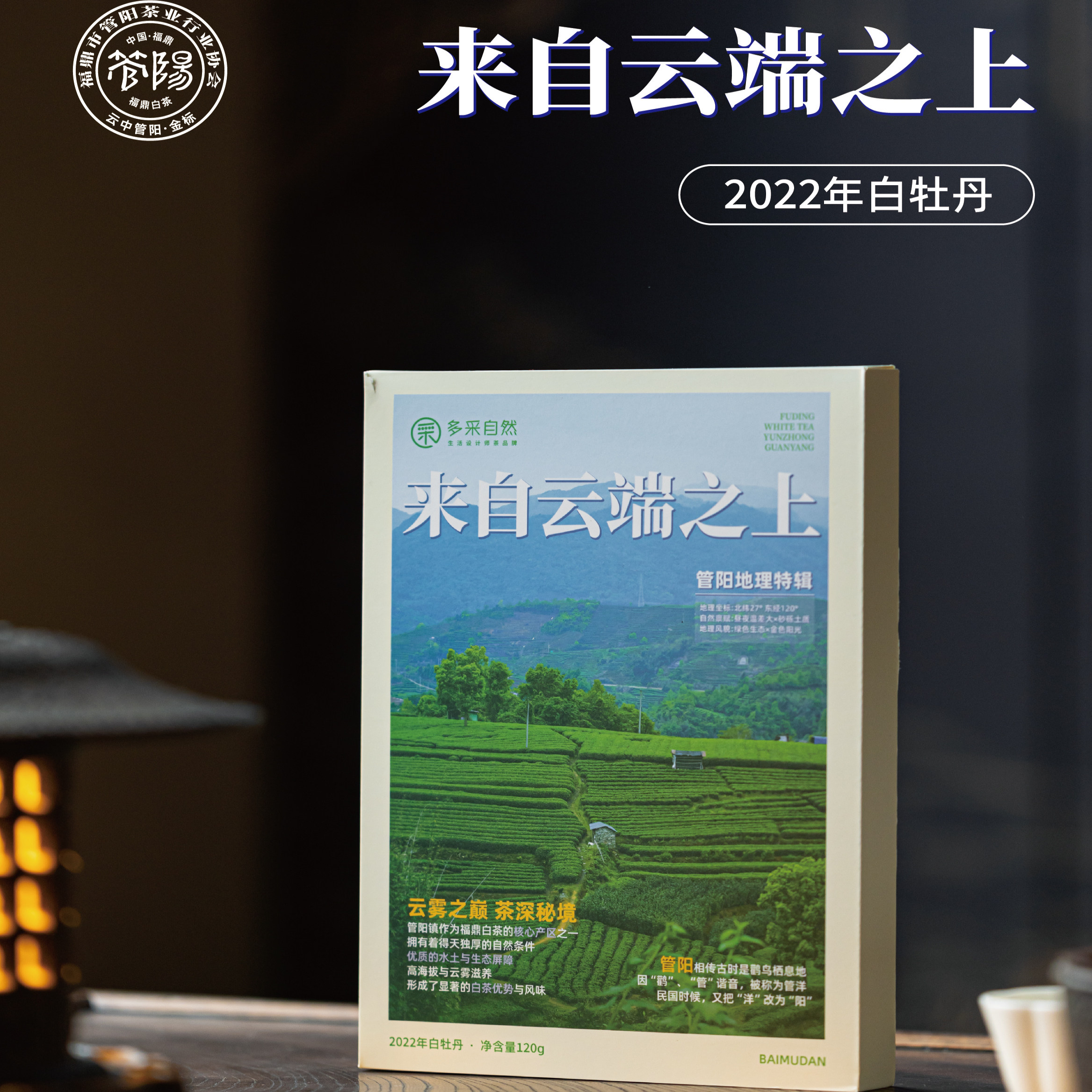 多采自然 创意书型茶叶礼盒福鼎白茶22年白牡丹茶砖便携礼品茶叶