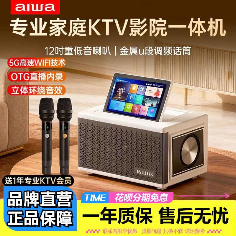aiwa爱华WA333大功率家庭ktv音响