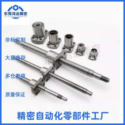 滚珠丝杆套装BSX BSS BSSE0601 1004 1202 1210 1505 2010 2520