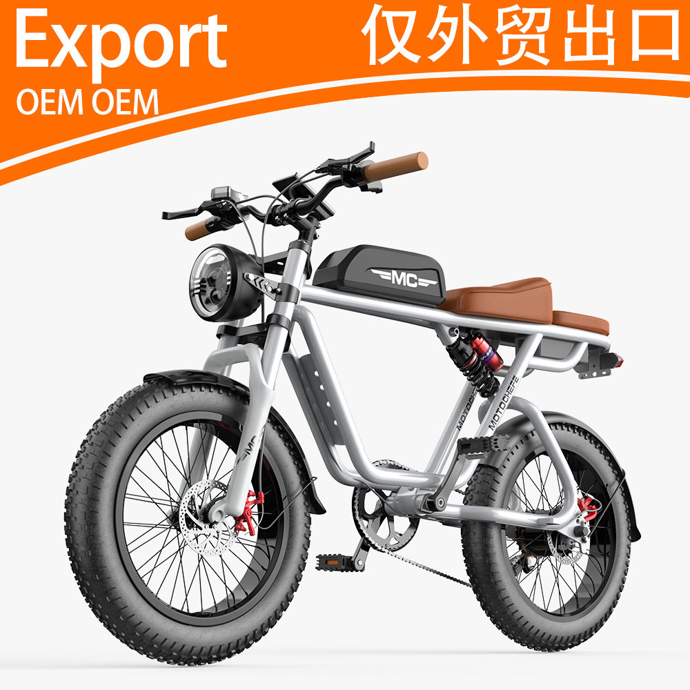 20寸48V00W电动自行车助力车锂电哈雷油刹出口外贸载重王雪电单车