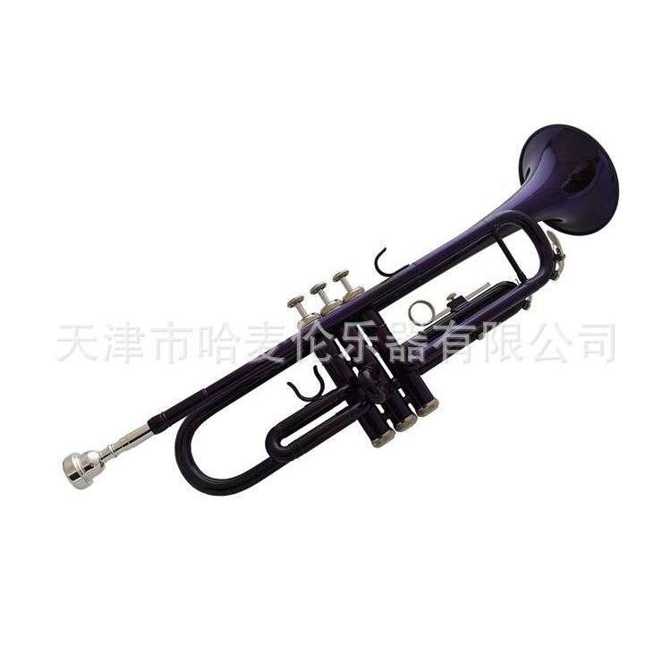 厂家销售哈麦伦彩色小号乐器降B调紫色铜管吹奏专业演奏初学乐队