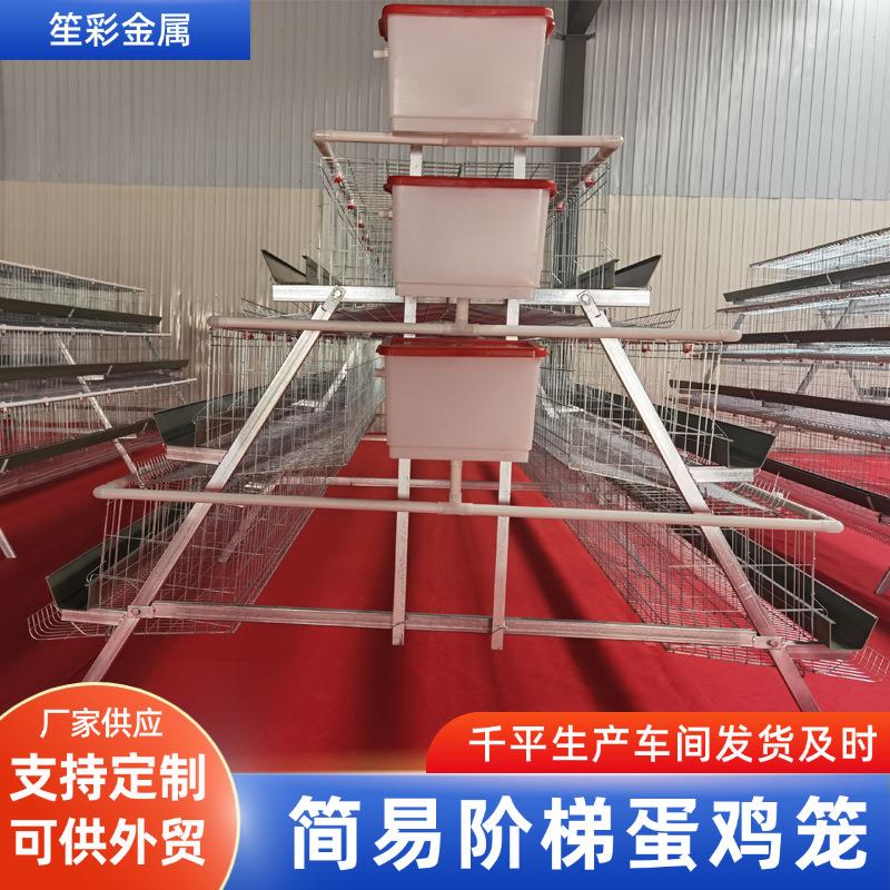 阶梯立体鸡笼子三层五门蛋鸡自带食槽水箱养殖场养鸡蛋鸡笼设备