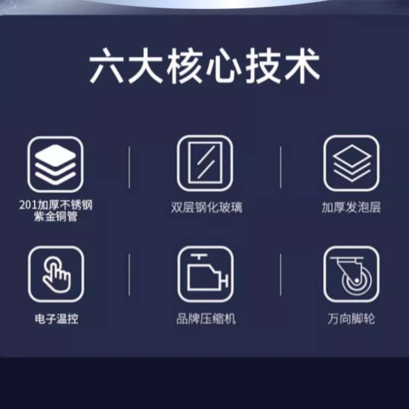 史蒂芬Stevison 直冷款玻璃展示柜LF-660M 全冷藏冰箱食品生鲜柜
