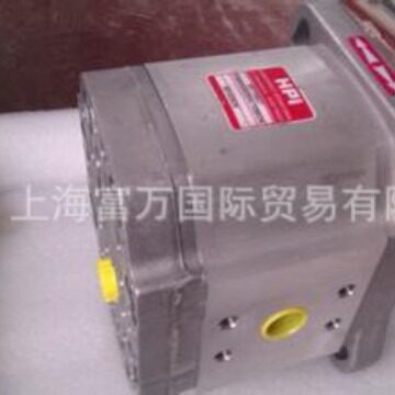 HPI齿轮泵P1AAN2010YL20A01N C5075501