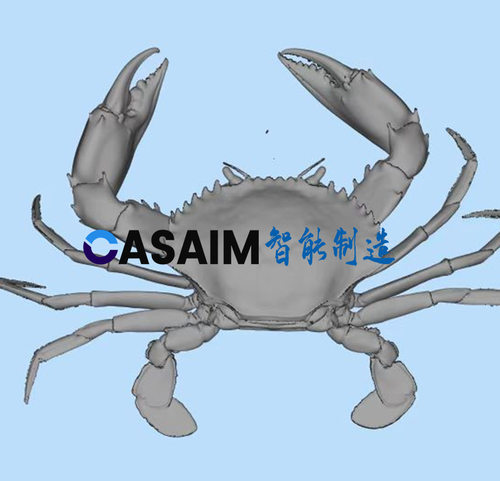 福建泉州航海快艇蓝光三维扫描全尺寸测量船只外观设计三维建模