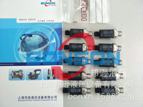 HAWE/哈威DT2V-2DT2V-1DT1-250DT11-250DT1V-250
