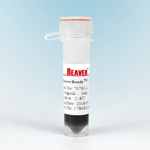 Beaver海狸琼脂糖氨基磁珠(10-30μm)70213-5 5mL,20%(v/v)