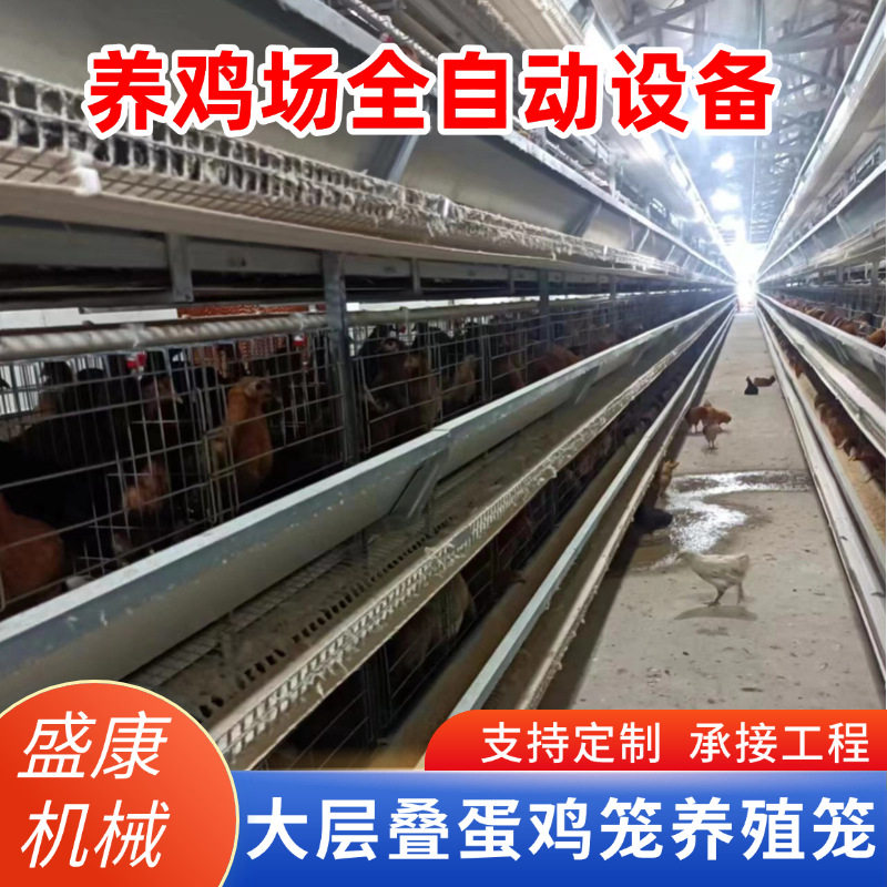H型多层叠立式养殖场养鸡设备大层叠蛋鸡笼子全自动蛋鸡笼养殖笼