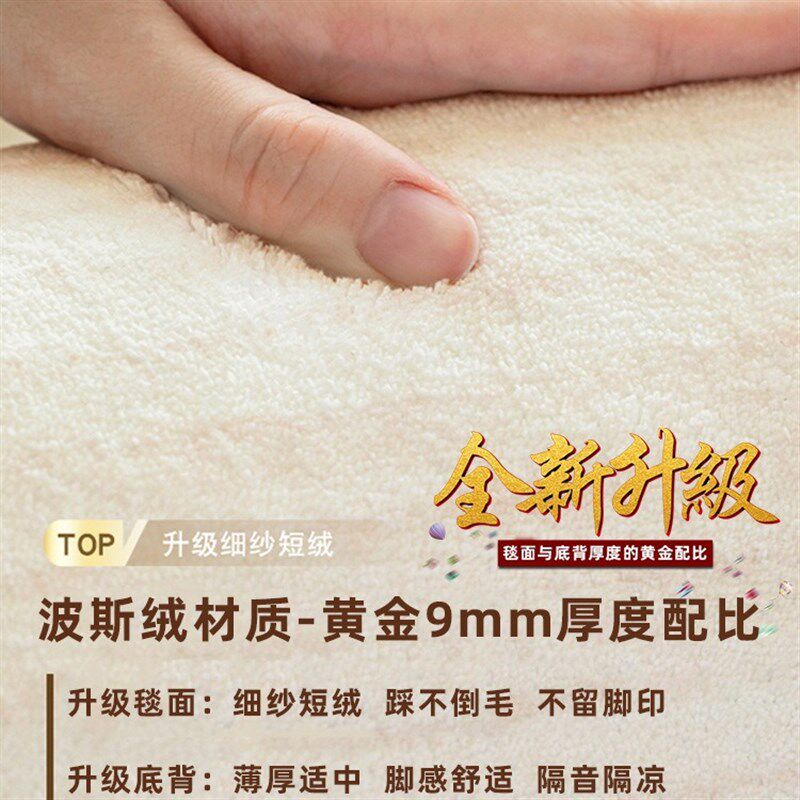 地毯客厅202i4新款免洗可擦奶油风卧室地垫子家用防水防污轻奢高