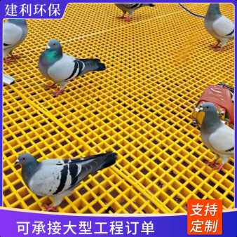 玻璃钢格栅鸽舍养殖漏粪格栅光伏检修走道板树篦子十字格格栅