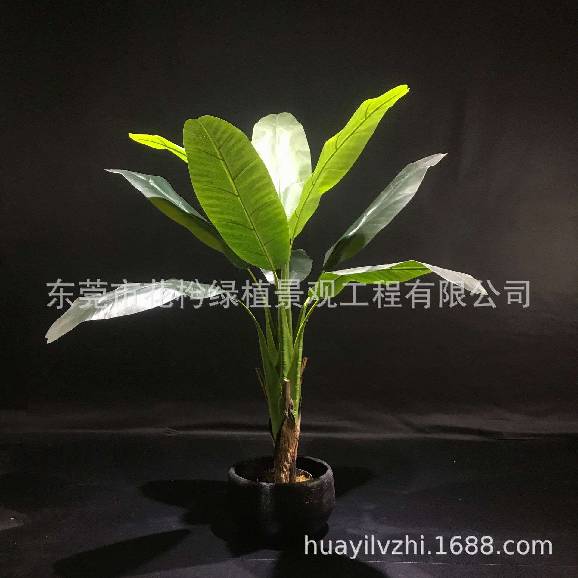 仿真芭蕉树室内造景假树banana tree室内大型落地景观植物装饰