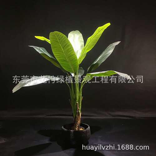 仿真芭蕉树室内造景假树banana tree室内大型落地景观植物装饰