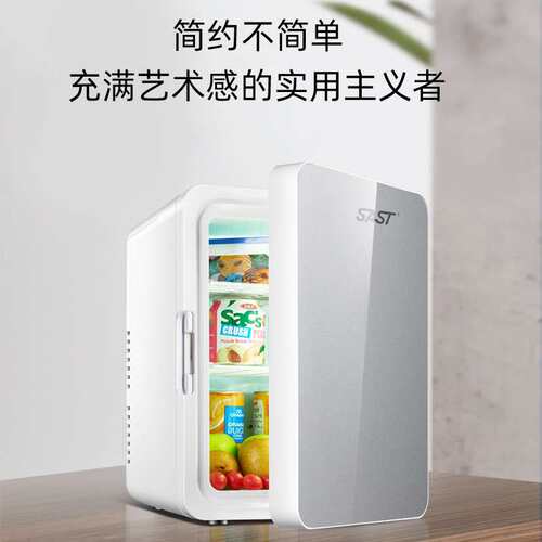 SAST  10L家车两用迷你冰箱 家用小冰箱 冷藏冰箱 冷暖恒温箱