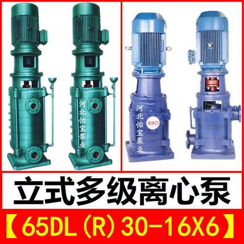 65DL30-16X6立式多级泵DLR型热水增压管道离心泵 高层建筑给水泵