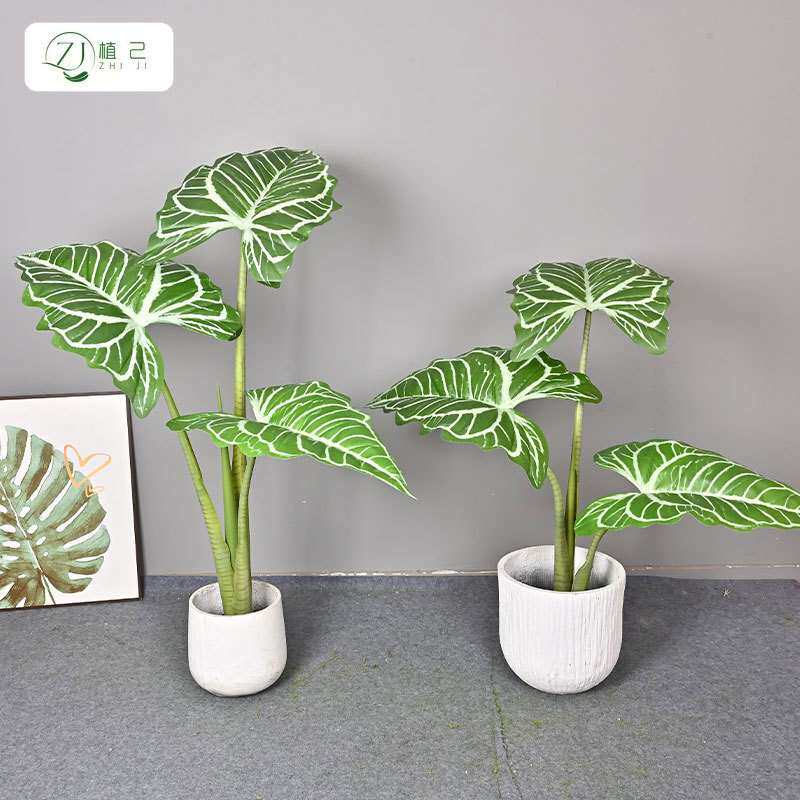 仿真绿植大叶帝王花烛家居客厅商场大型落地装饰植物盆景摆件树
