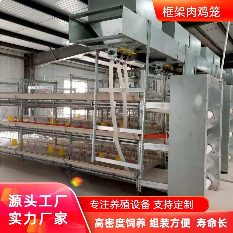 框架肉鸡笼全自动肉鸡鸡笼子鸡笼设备 自动清粪全套养鸡设备