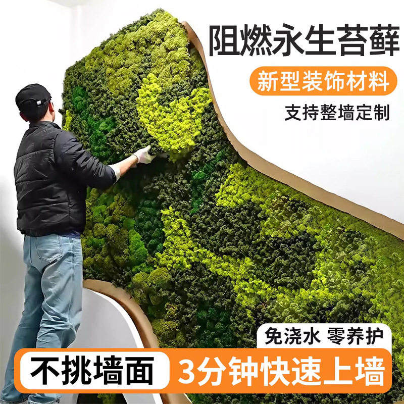 阻燃永生驯鹿苔藓仿真植物墙