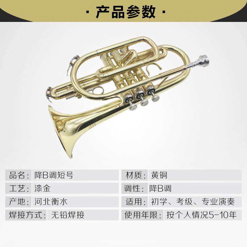 bB调 降B调 短号 小号 铜管乐器 专业级短号