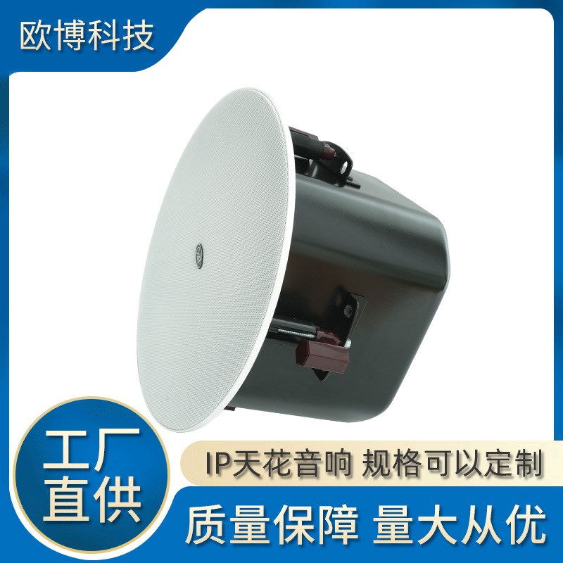 公共广播系统高档豪华室内IP网络天G花喇叭IP网络天花音箱现货