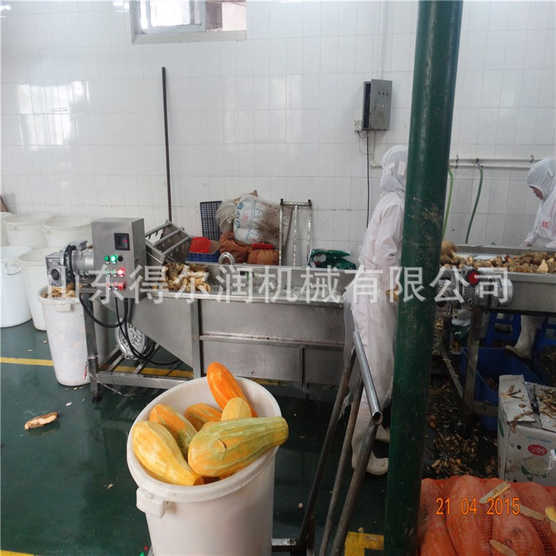 自主创业项目 农m副产品土豆芋头大姜去皮清洗深加工流水线设备