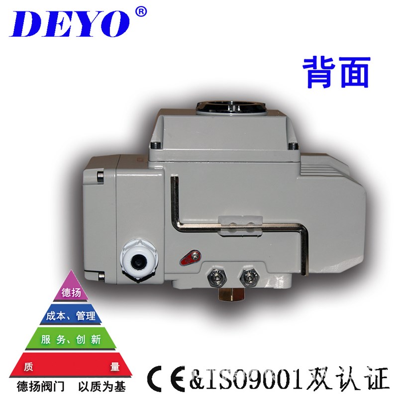 SDV-10/15i电动执行器 开关调节型电动头 断电复位AC24/220V DC24