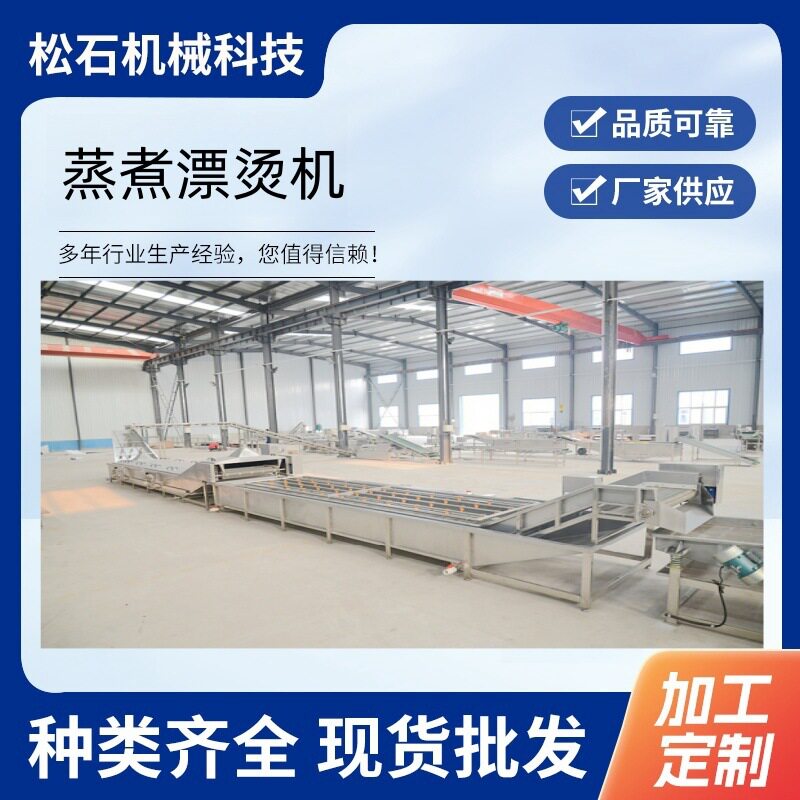 商用连续式蒸煮漂烫机瓜果蔬菜加工流水线多功能黄桃罐头漂烫设备
