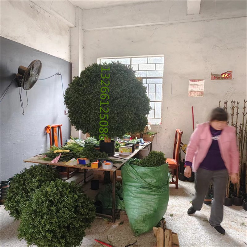 黄杨球仿真圆球形圆型黄杨木松针叶柏白蒂万年P青树型假梅热带绿