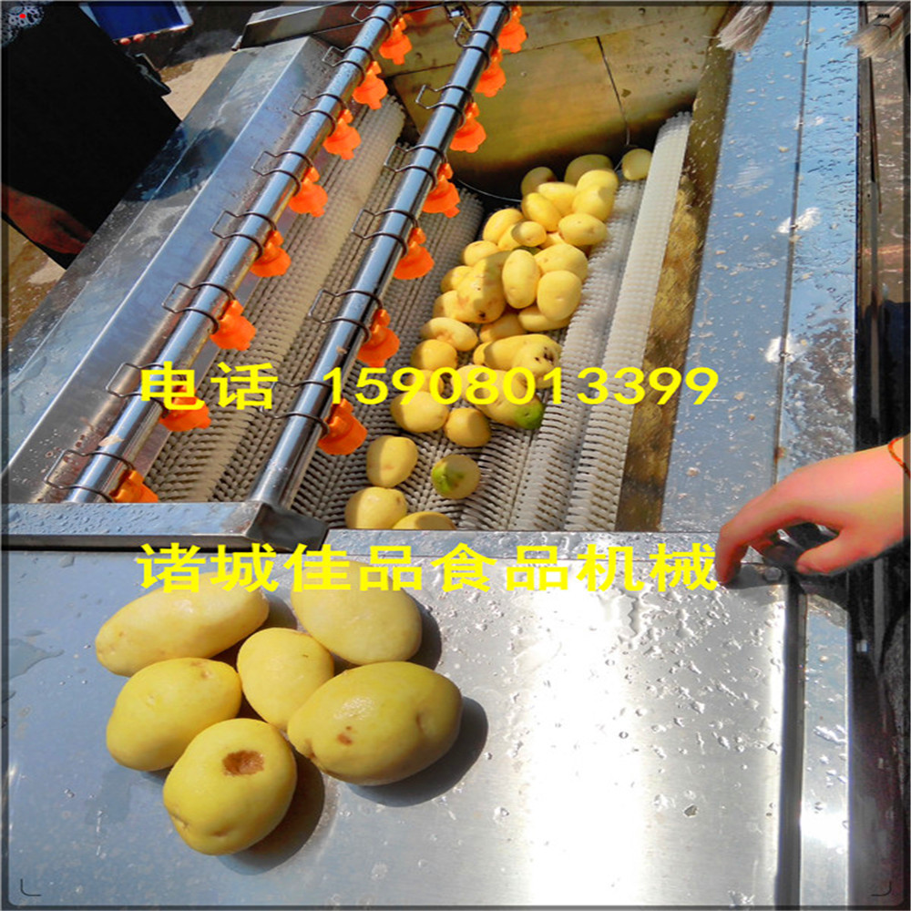 猪蹄清洗机猪耳朵毛辊清洗去皮机诸城市佳品机械为您选购果蔬
