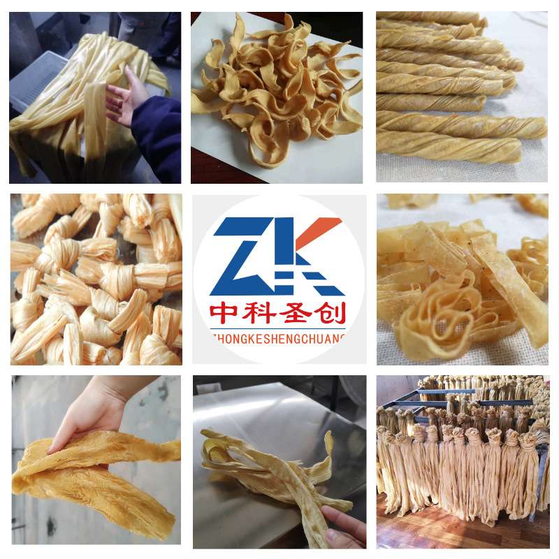 厂家热销致富小项目豆皮机 蛋白肉机 人造肉素鸡翅机辣条原料机器